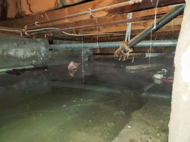 Best 24-hour water damage restoration  in Demarest, NJ