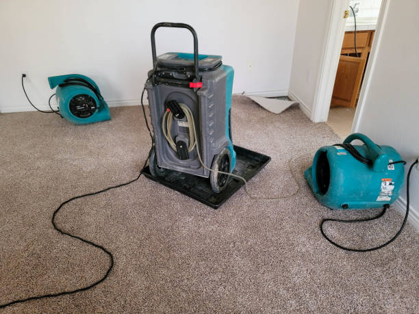 Best Mold removal after water damage  in Demarest, NJ