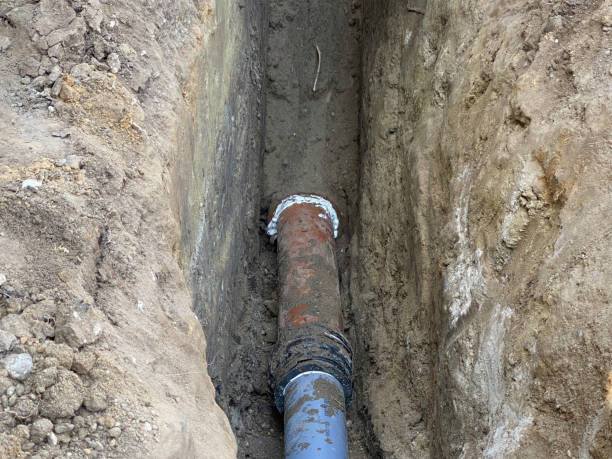 Best Flood damage cleanup  in Demarest, NJ