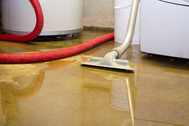 Best Local water damage restoration  in Demarest, NJ