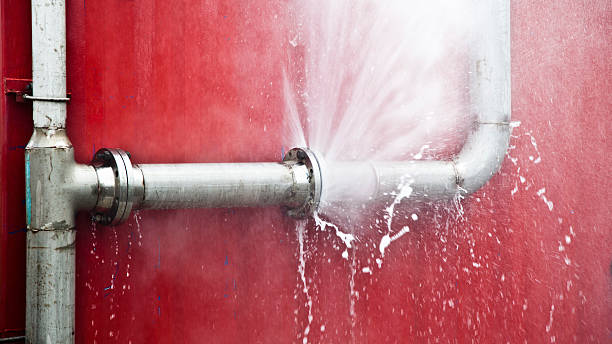 Best Water damage contractors near me  in Demarest, NJ